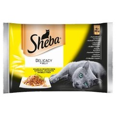 Sheba Delicato Delikatne drobiowe dania w galaretce Karma pełnoporcjowa 4 x 85 g