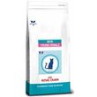 Cat skin young female s/o 