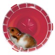 Rody silent wheel mini- kołowrotek dla myszek i chomików