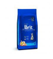 Brit Premium cat kitten kurczak